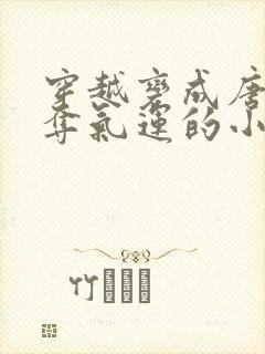 穿越变成唐僧掠夺气运的小说