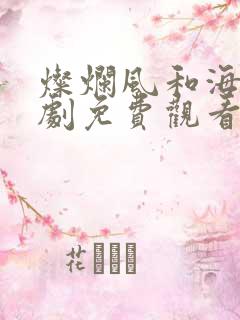 灿烂风和海电视剧免费观看