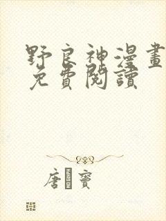 野良神漫画全集免费阅读