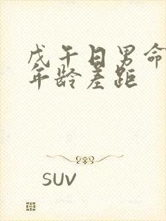 戊午日男命妻子年龄差距