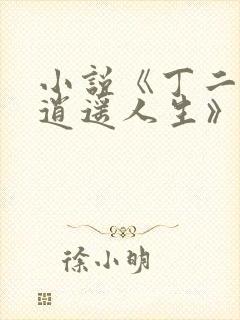 小说《丁二狗的逍遥人生》