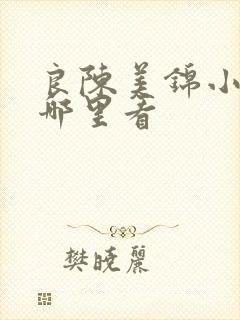 良陈美锦小说在哪里看