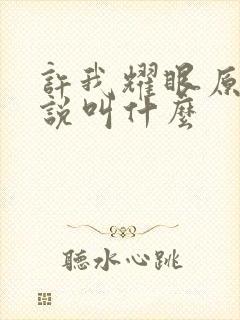 许我耀眼原著小说叫什么