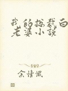 我的总裁白富美老婆小说