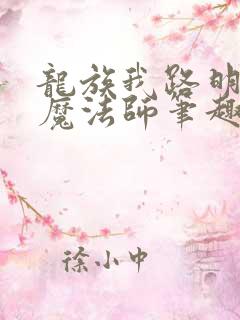 龙族我路明非大魔法师笔趣阁