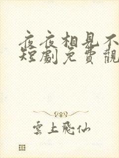 夜夜相见不识君短剧免费观看全集