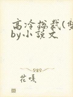 高冷总裁(双)by小说文