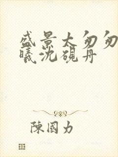 盛景太匆匆宁若曦沈砚舟