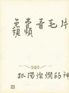 免费看毛片爱爱视频