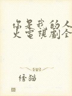 你是我的人间烟火电视剧全集免费观看