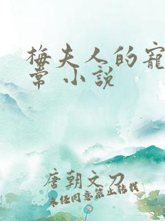 梅夫人的宠夫日常 小说