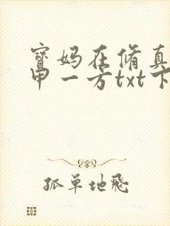 宝妈在修真界富甲一方txt下载