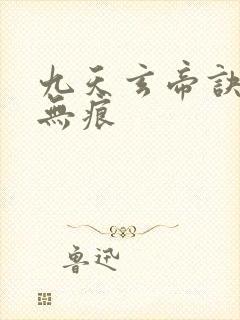 九天玄帝诀傲天无痕