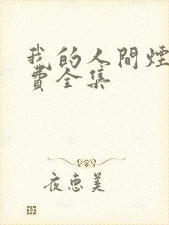 我的人间烟火免费全集