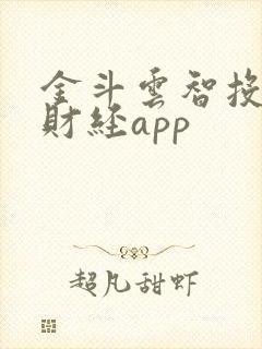 金斗云智投汇正财经app