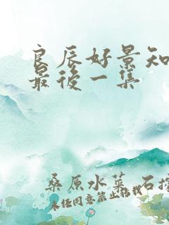 良辰好景知几何最后一集