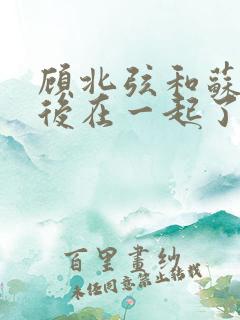 顾北弦和苏o最后在一起了吗