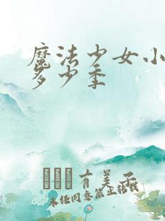 魔法少女小圆有多少季