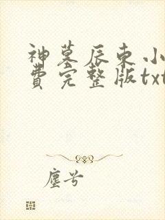 神墓辰东小说免费完整版txt