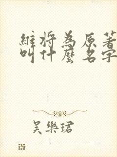 维将为原著小说叫什么名字