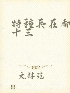 特种兵在都市夜十三