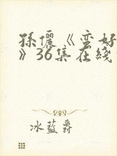 孙俪《蛮好人生》36集在线观看