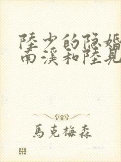 陆少的隐婚罪妻南溪和陆见深