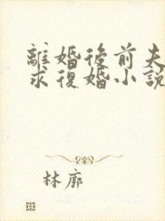 离婚后前夫哭着求复婚小说txt下载