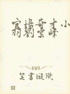 官场奇才小说陆羽刘云峰