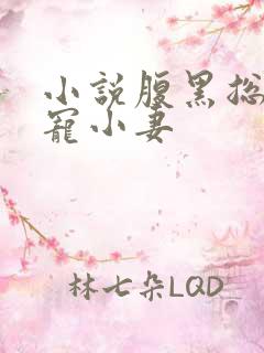 小说腹黑总裁诱宠小妻