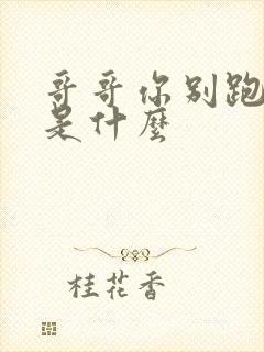 哥哥你别跑结局是什么