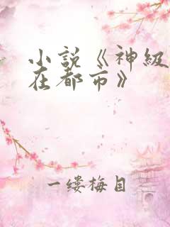 小说《神级高手在都市》