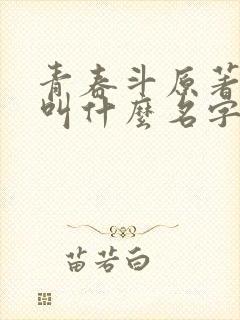 青春斗原著小说叫什么名字