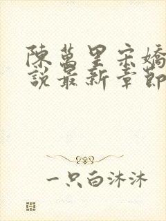 陈万里宋娇娇小说最新章节阅读