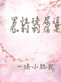 男性后尿道排尿感到刺痛是怎么回事