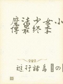 魔法少女小圆外传最终季