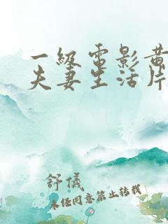 一级电影黄色的夫妻生活片