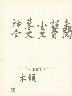 神墓小说未删版全文免费阅读
