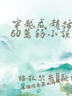 穿越成赵括坑杀60万的小说