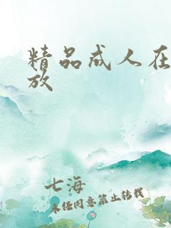 精品成人在线播放