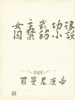 女主武功很高被囚禁的小说