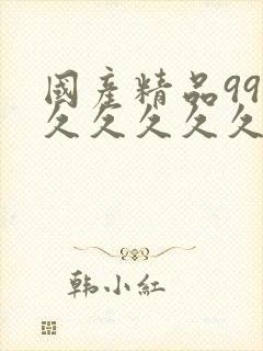 国产精品99久久久久久久久