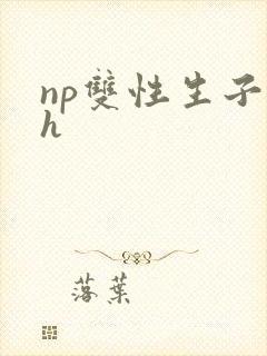 np双性生子高h