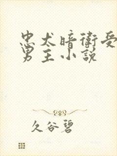 忠犬暗卫受的双男主小说