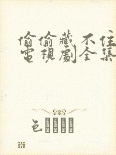 偷偷藏不住在线电视剧全集免费观看