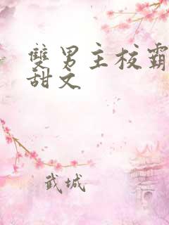 双男主校霸校园甜文