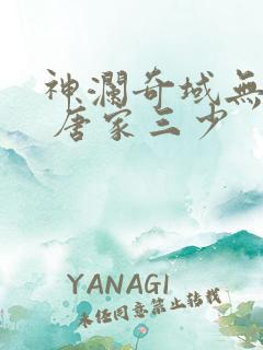 神澜奇域无双珠 唐家三少