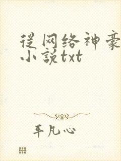 从网络神豪开始小说txt