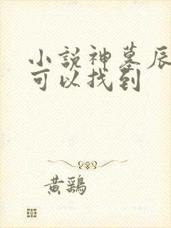 小说神墓辰东哪可以找到