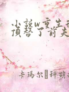 小说w重生后我顶替了前夫白月光,